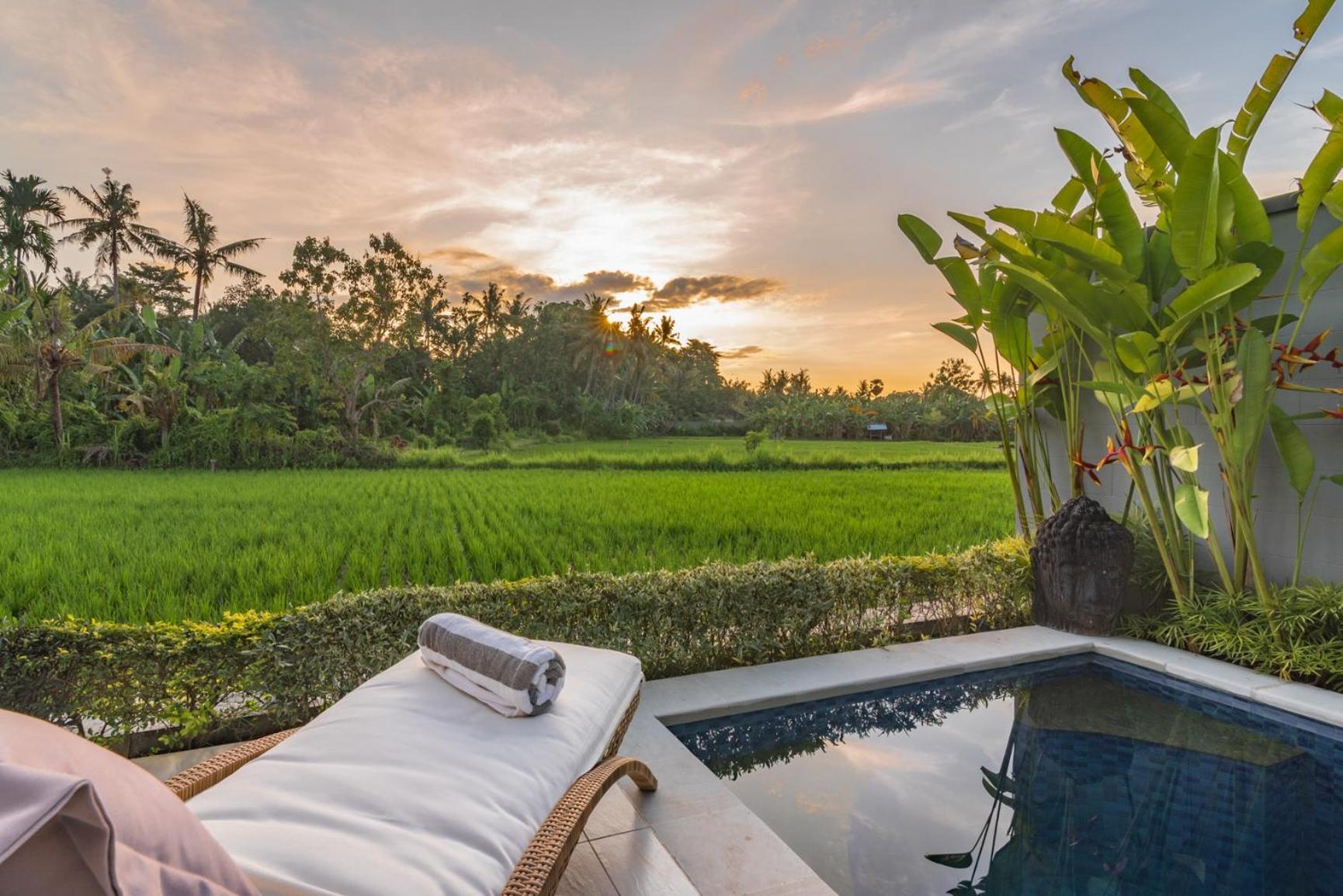 Villa Shiva Lovina  Luaran gambar