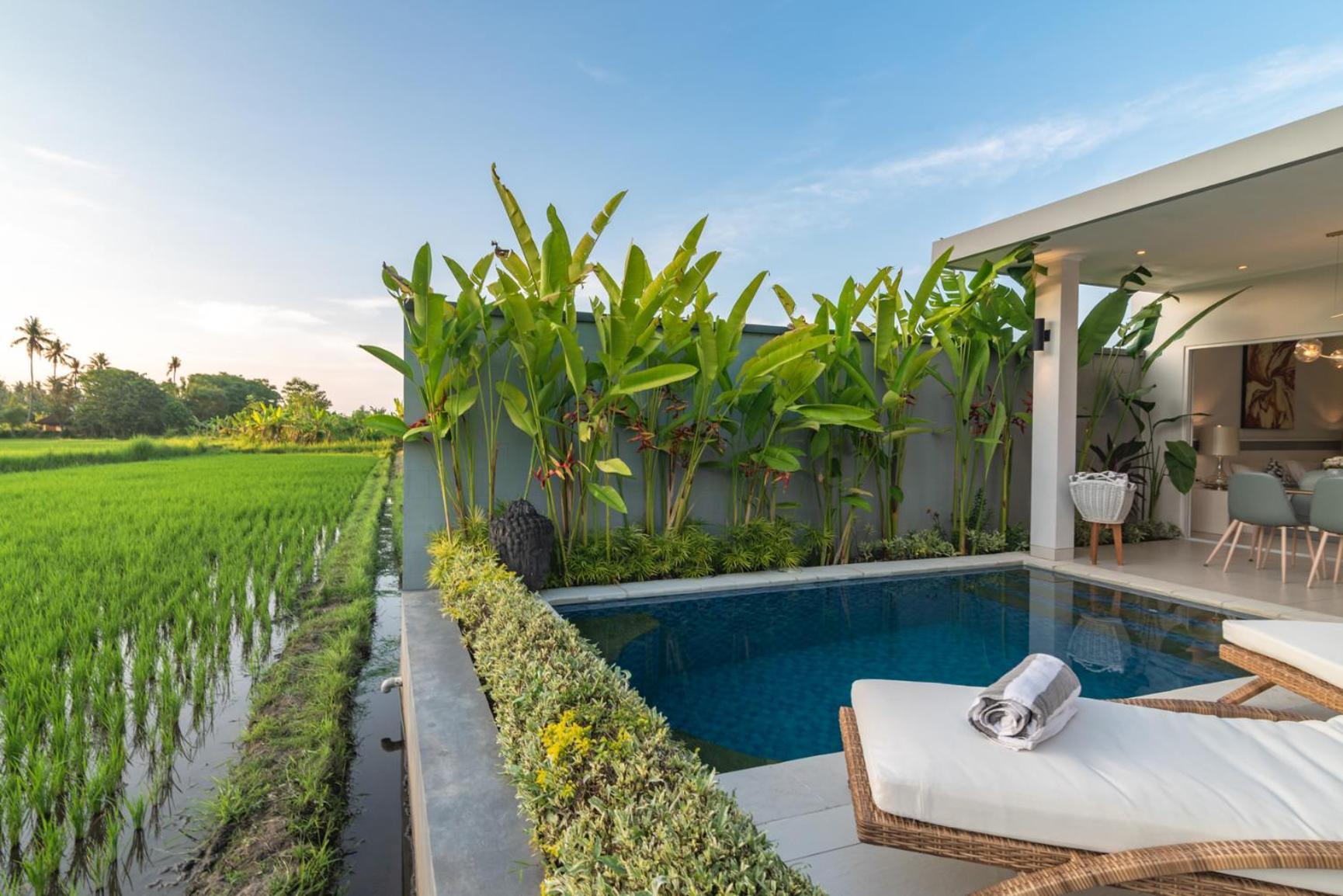 Villa Shiva Lovina  Luaran gambar