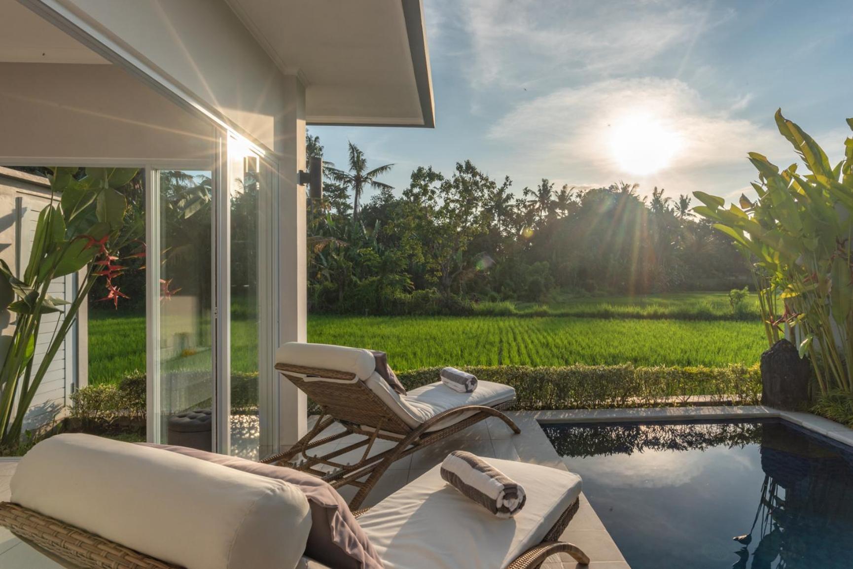 Villa Shiva Lovina  Luaran gambar